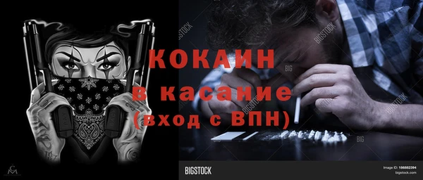 индика Аркадак