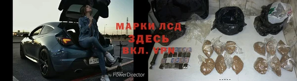 индика Аркадак