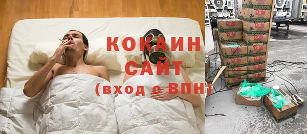индика Аркадак