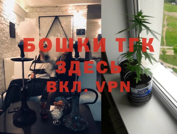 индика Аркадак