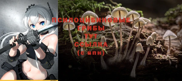 твердый Арсеньев