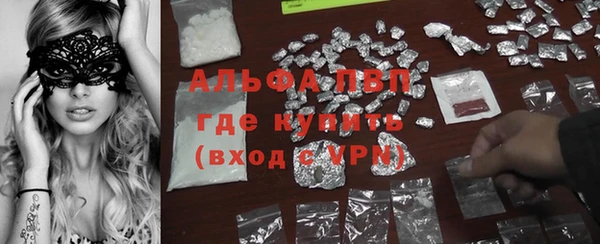 индика Аркадак