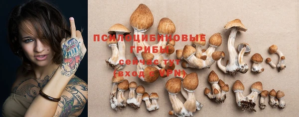 дмт Армянск
