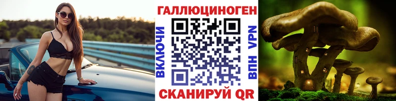 где продают   Сортавала  Галлюциногенные грибы Magic Shrooms 